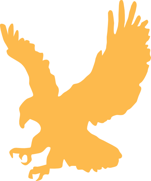 Cartoon Golden Eagle Flying Images & Pictures - Becuo