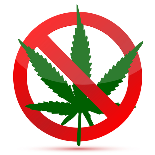 DOT Tells Drivers to Just Say No to Legal Pot | CDLLife