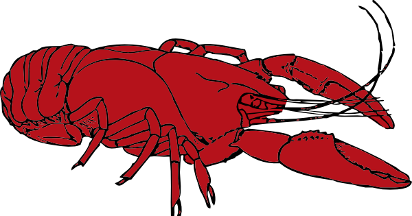 Crayfish clip art - vector clip art online, royalty free & public ...
