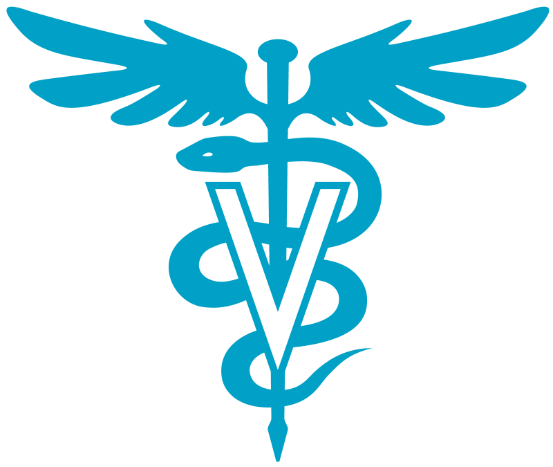 Veterinary Medicine 2014: Dr. Kent Julius