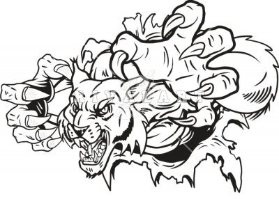 Wildcat Ripping Through Wall - Wildcat Pictures - Mascots ...