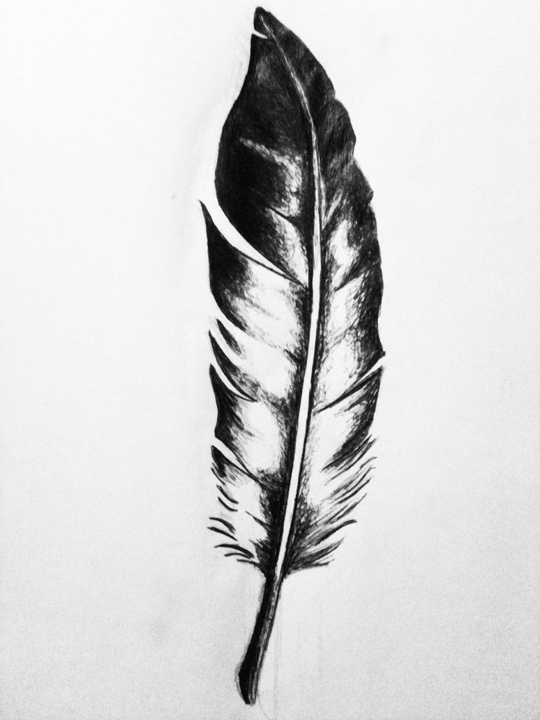 Feather Tattoo Drawing | DrawingSomeone.com