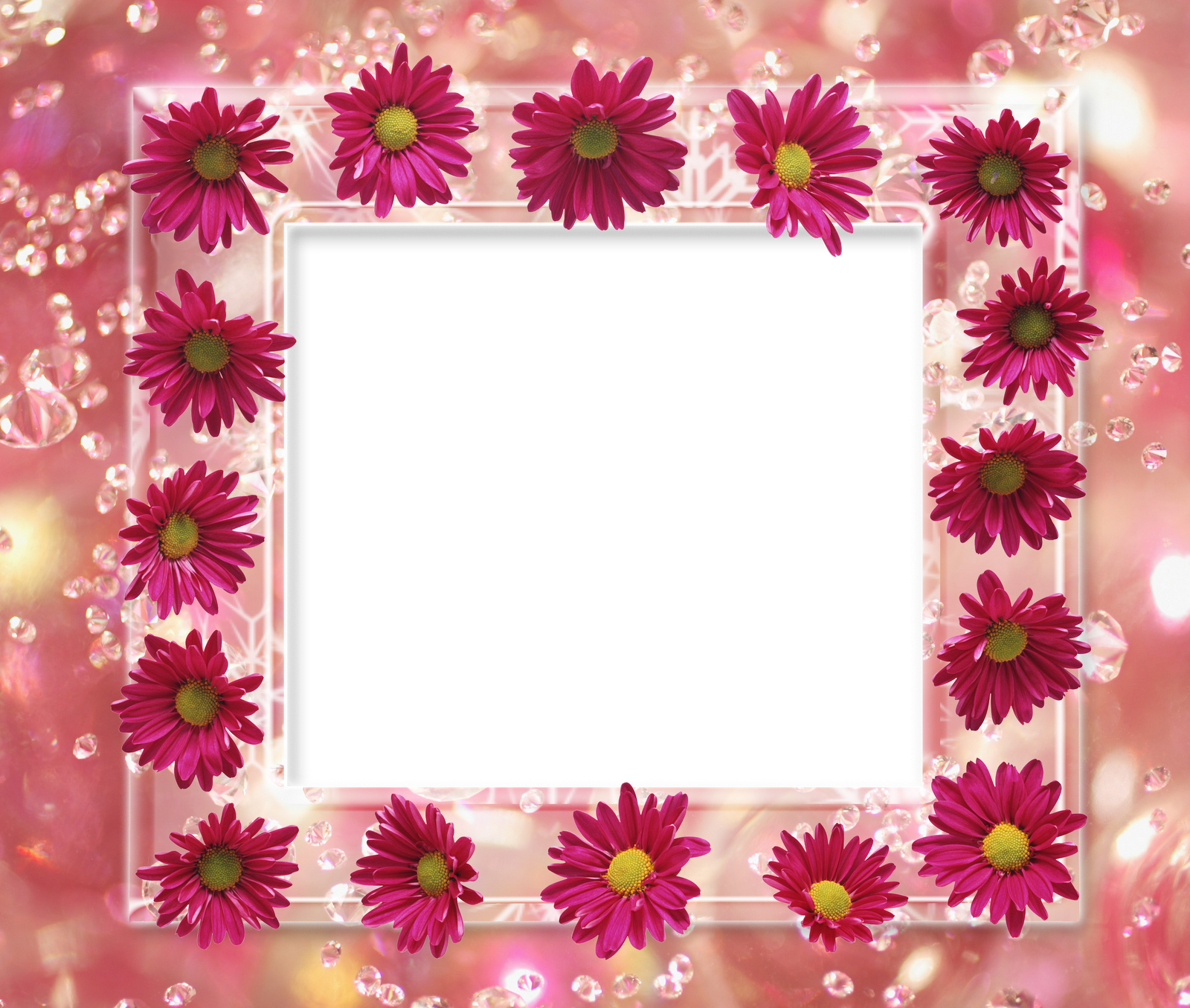 SYED IMRAN: flower frame pack .png
