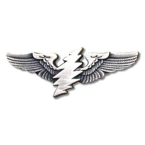 GRATEFUL DEAD SILVER LIGHTNING BOLT WING PIN SMALL - Gift Items ...