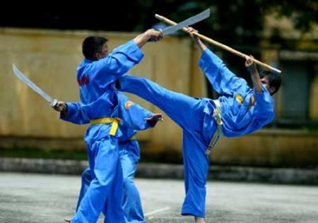 VietFest | Martial Arts Demonstration