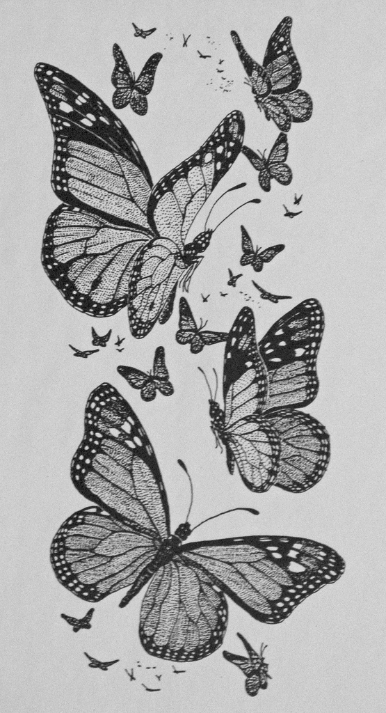 Drawing: Monarch Butterflies | Flickr - Photo Sharing!