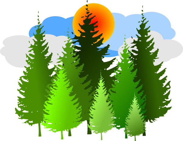 Pine Tree Clipart Png - Gallery