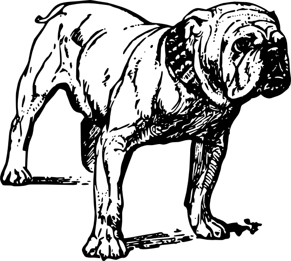 Vector Bulldog / Bulldog Free Vectors Download / 4Vector