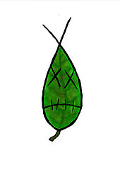 The World's most recently posted photos of sketchoftheday - Flickr ...