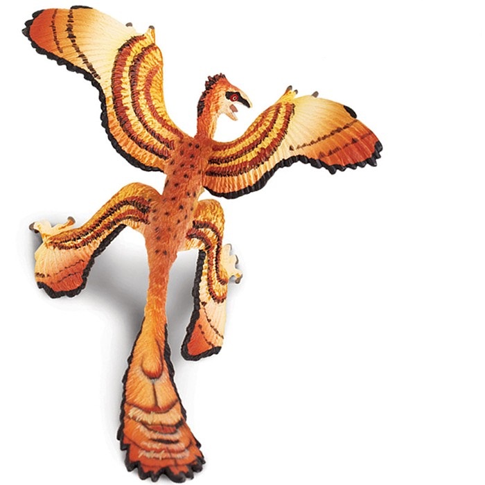 Microraptor (Carnegie) | The Dinosaur Farm