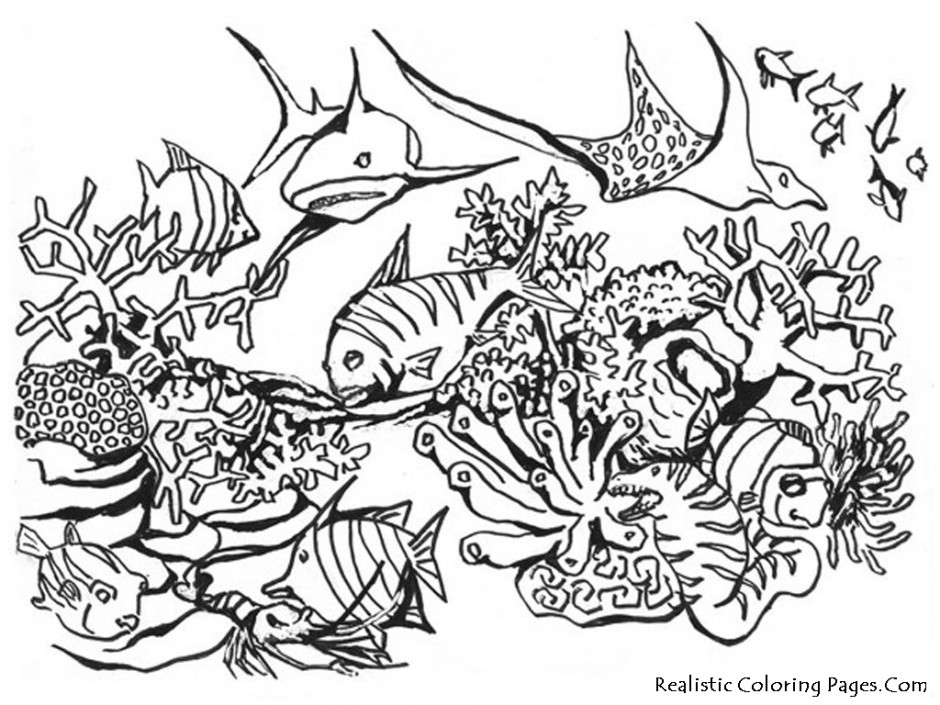 Octopus Ocean Animal Coloring Pages Sweet Coloring Pages For Kids ...
