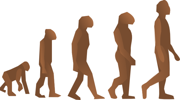 Evolution Steps clip art - vector clip art online, royalty free ...