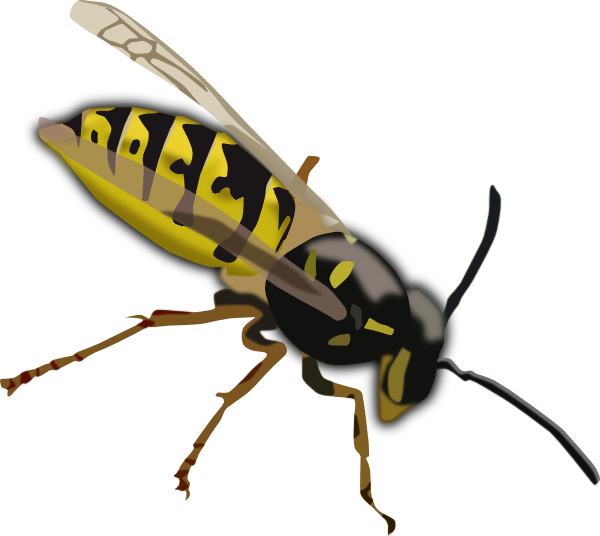 Wasp Clip Art | Clipart Panda - Free Clipart Images