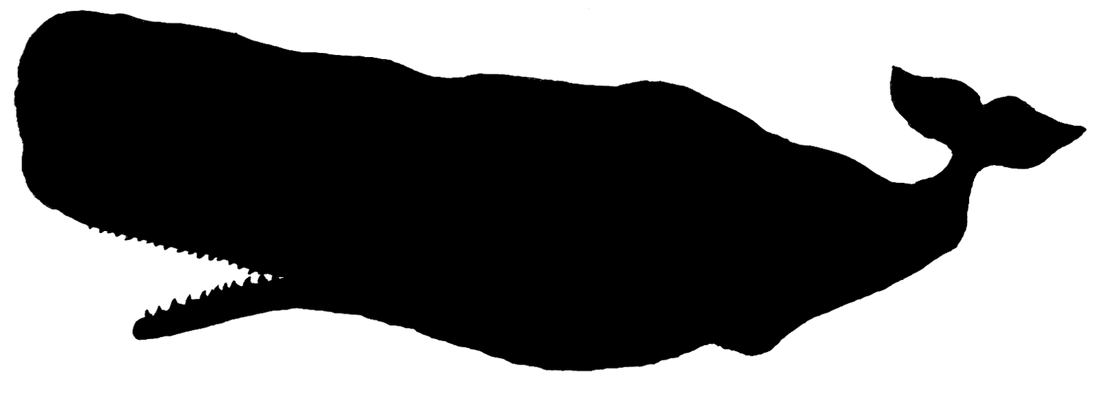 Whale Silhouette - ClipArt Best