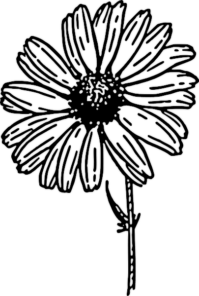 Flower Drawing Easy - ClipArt Best