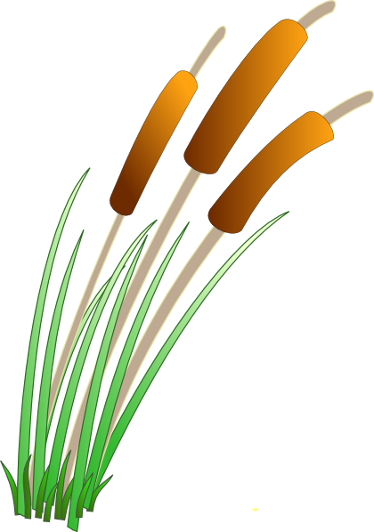 Reeds clip art - vector clip art online, royalty free & public domain