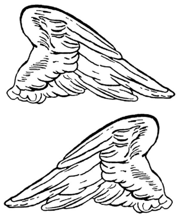 angel wings wfairy Colouring Pages
