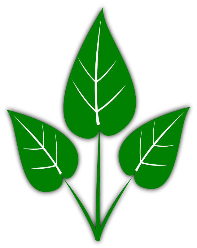 Oak Leaf Clip Art Download