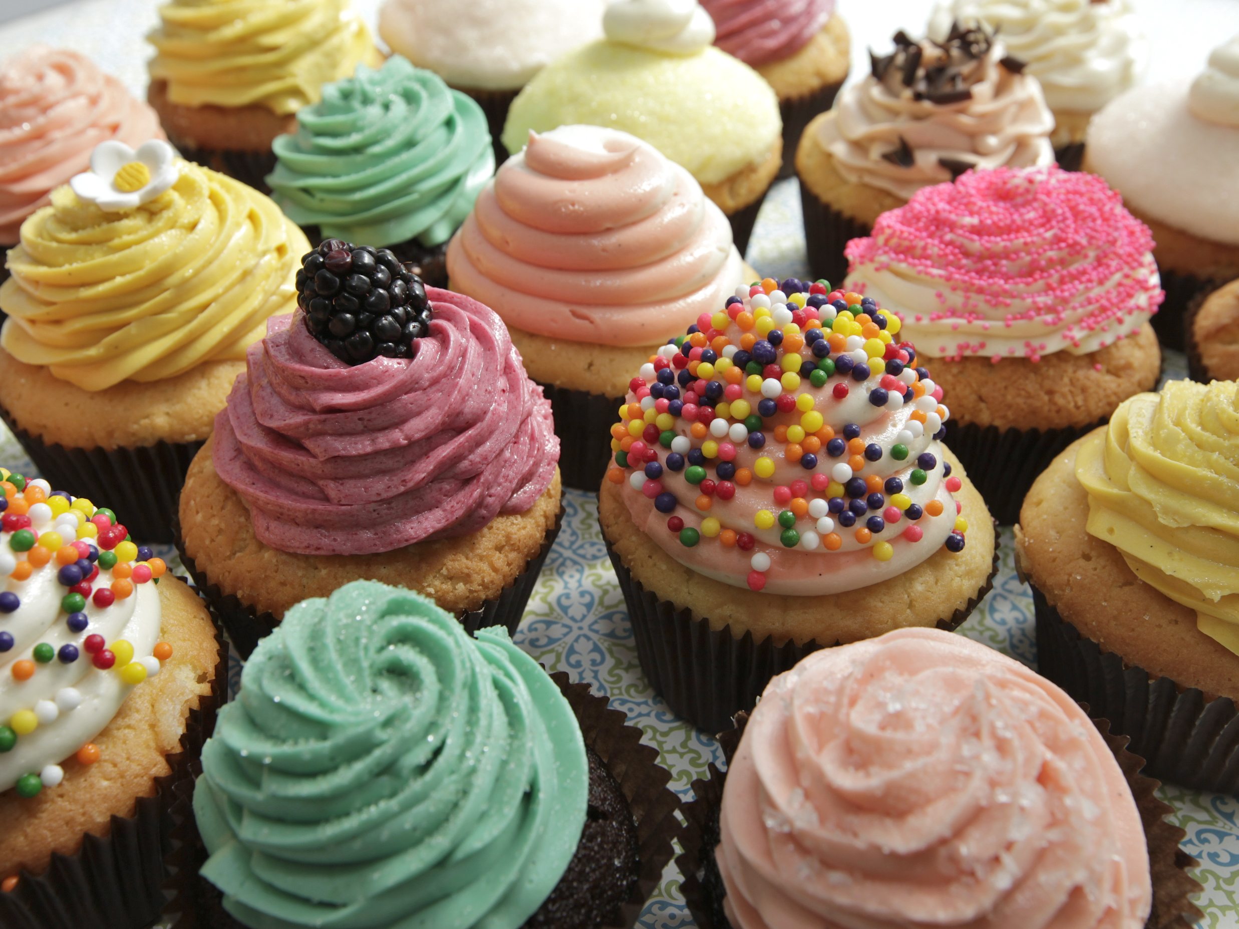 Cupcake Wars : Food Network
