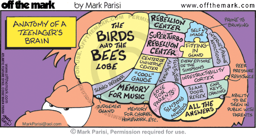 Teenager brain Cartoons & Comics by off the mark cartoons
