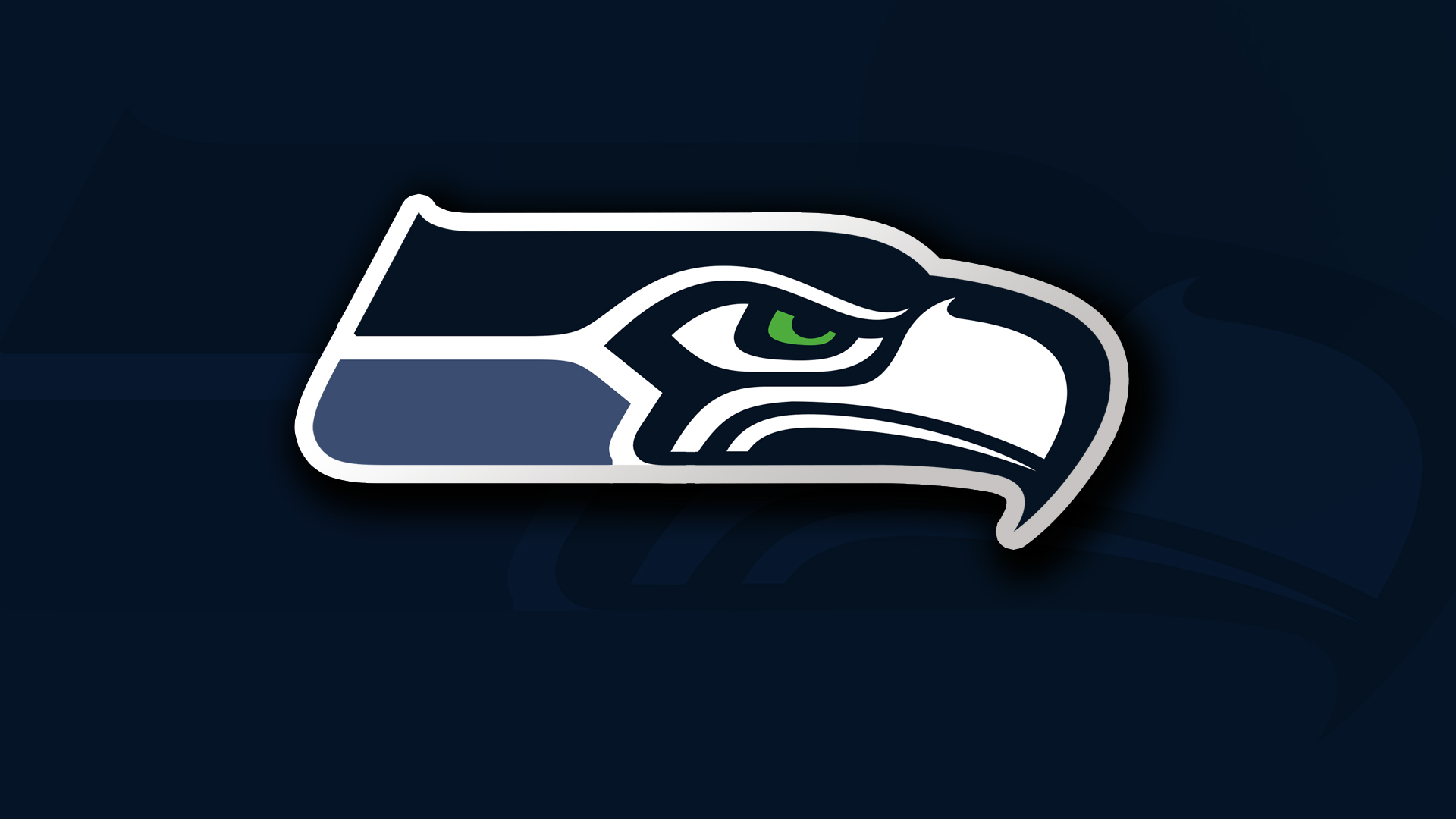Seattle Seahawks 28529 #7009259