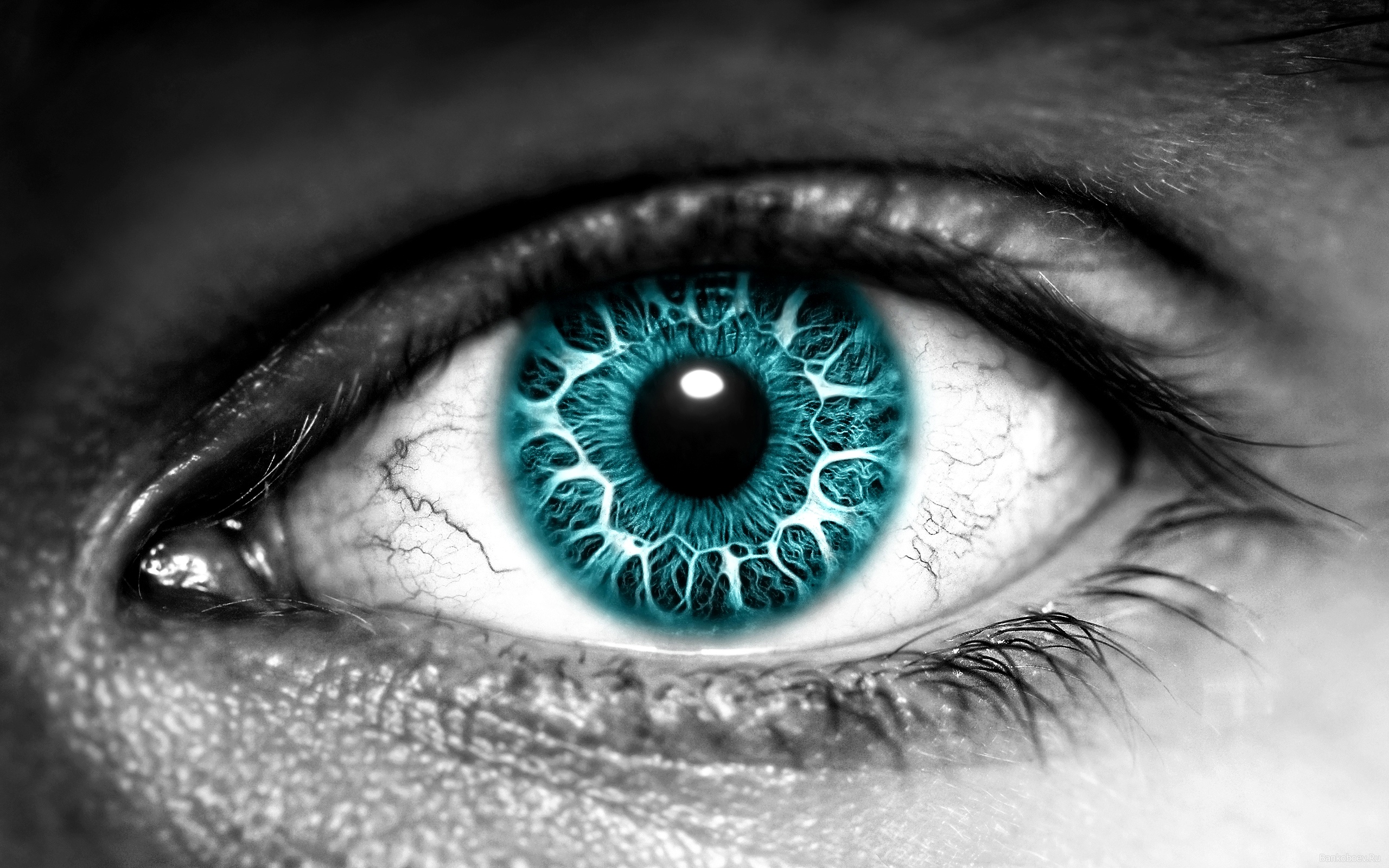 Interpretation of a dream in which you saw «Eye»