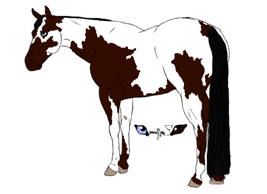 Paint Horse Drawing Auction by ZephyrAnemos on deviantART
