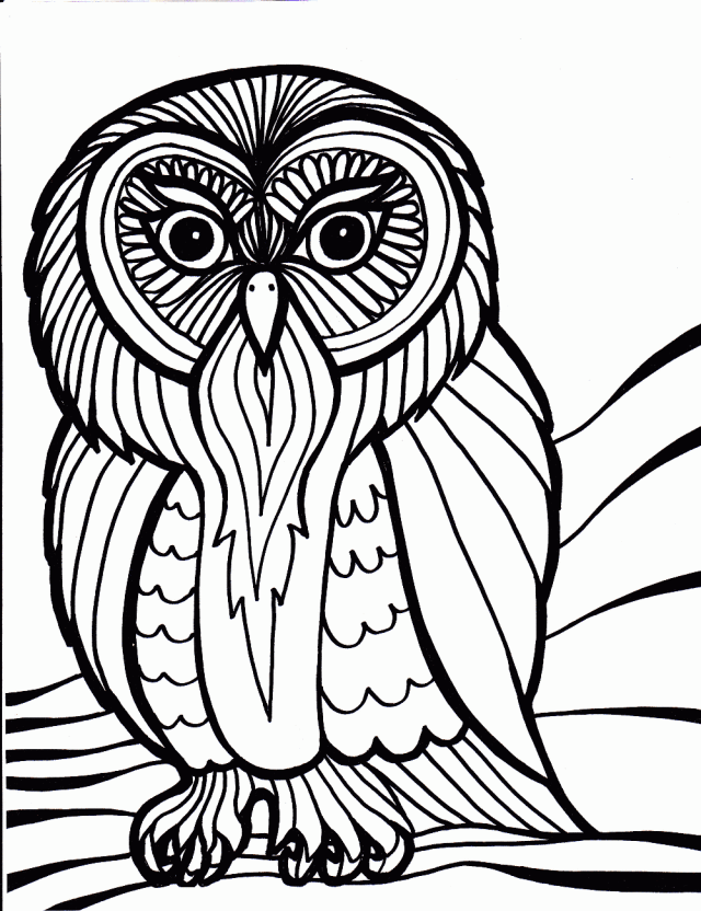 Printable toucam bird coloring pages | Coloring Pages