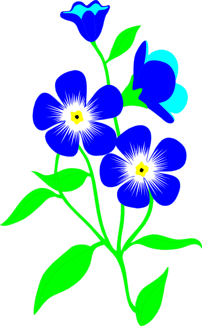 Forget Me Not Clipart - ClipArt Best