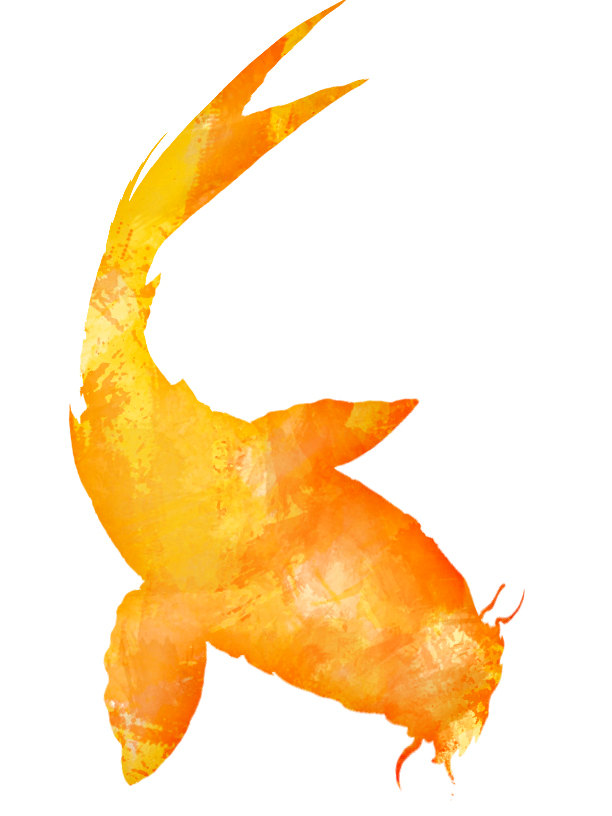 Koi Fish ClipArt Golden Yellow Orange by jhCollaborative