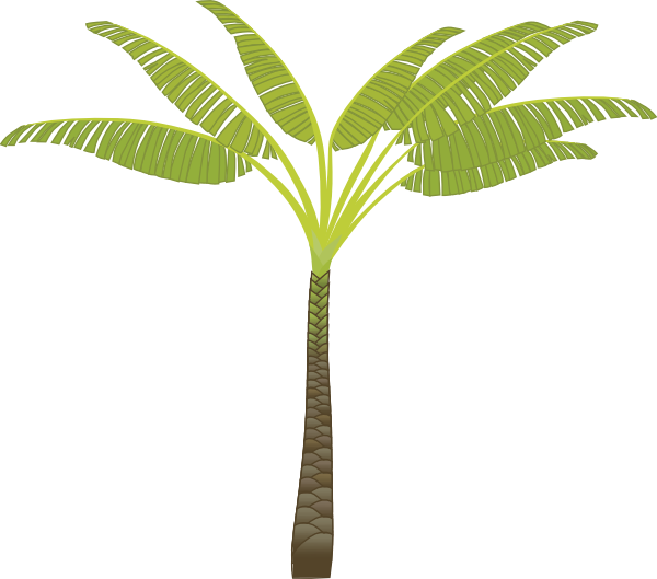 Clipart Jungle Trees Images & Pictures - Becuo