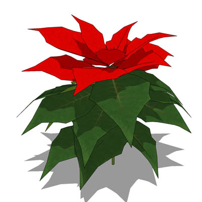 Poinsettia 3D Model - FormFonts 3D Models & Textures
