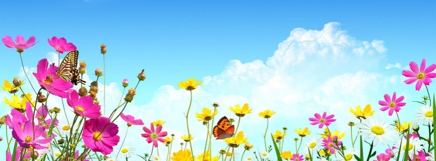 Flowers Scenery Cover Banner CoverFacebook Covers, Timeline Covers ...