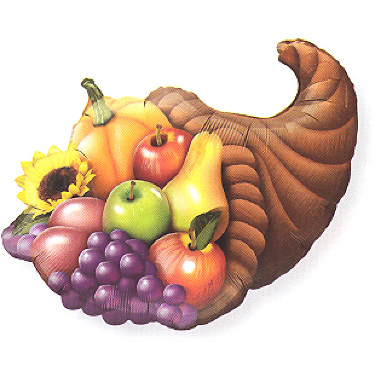 22143_cornucopia.jpg