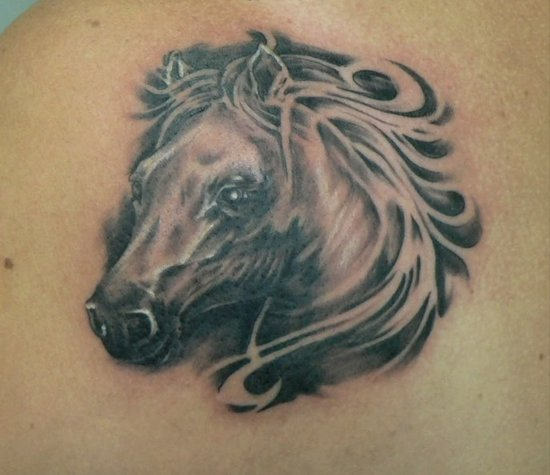 Horse Tattoos - Page 4