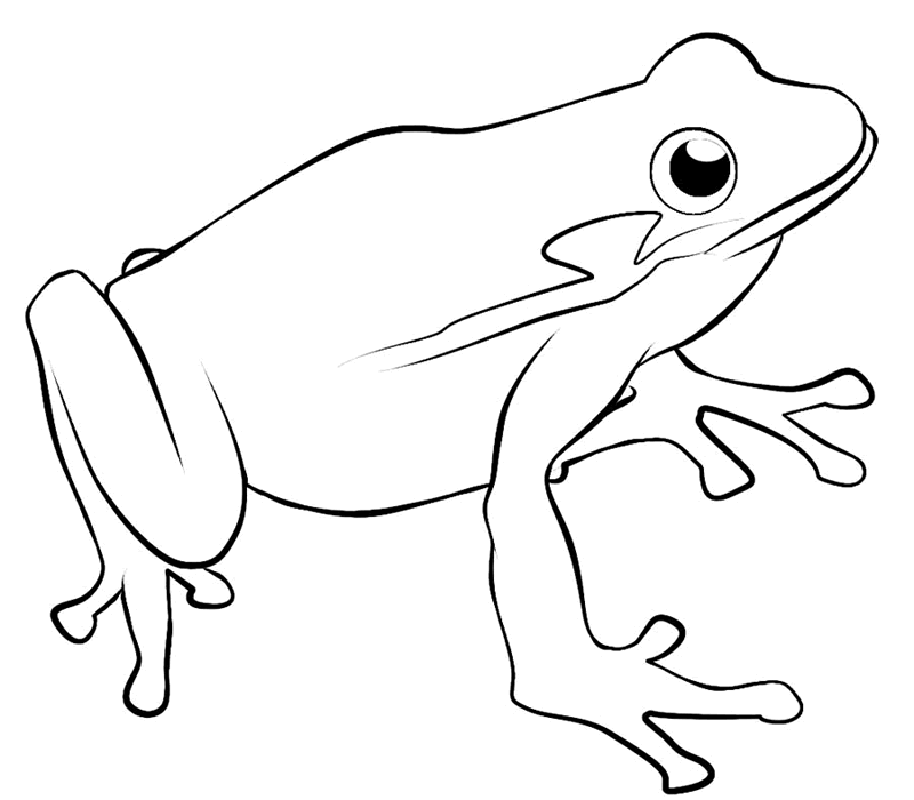 Tree Frog Coloring Pages - AZ Coloring Pages
