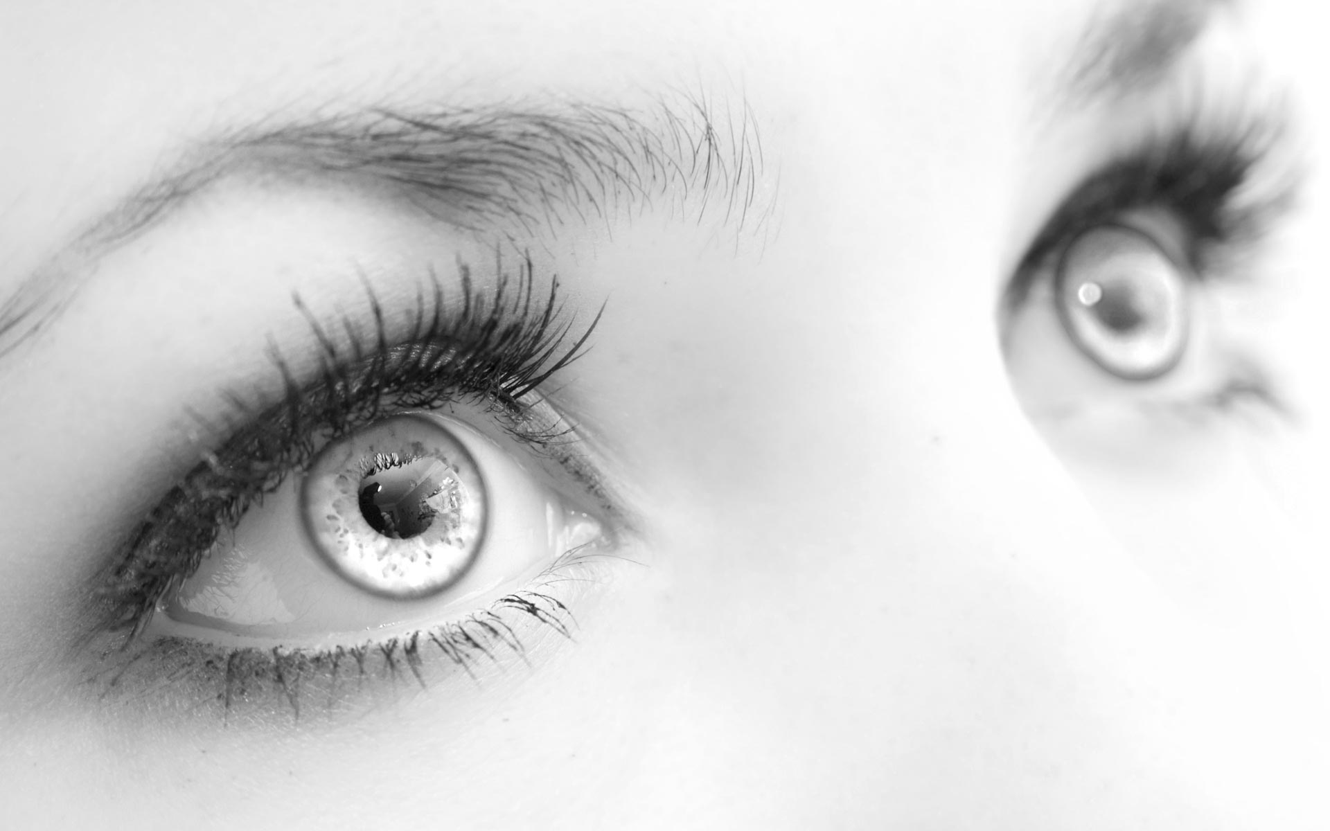 puffy eyes | biancabeautytips