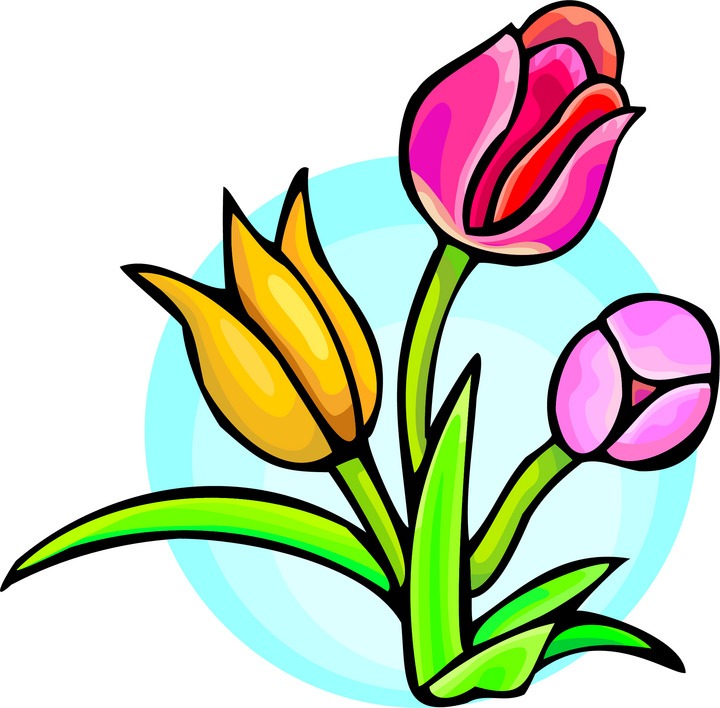 Spring Flower Graphics