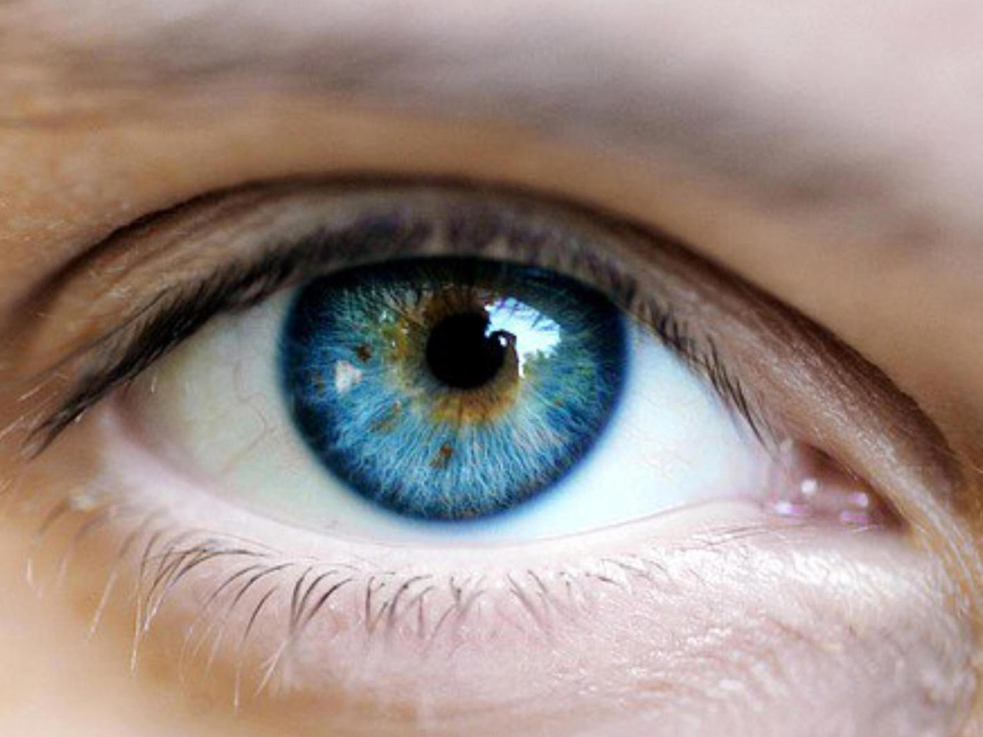 The Neuroscience of Making Eye Contact | Psychology Today