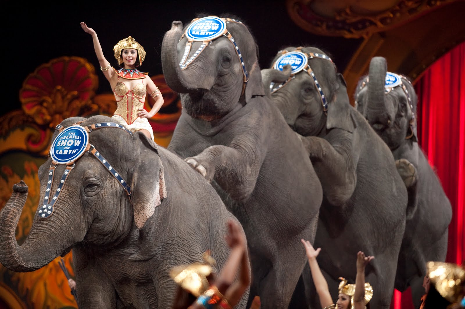 Ringling Bros 'Greatest Show on Earth' circus to stop elephant ...