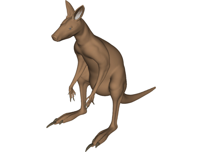 Kangaroo 3D Model Download | 3D CAD Browser