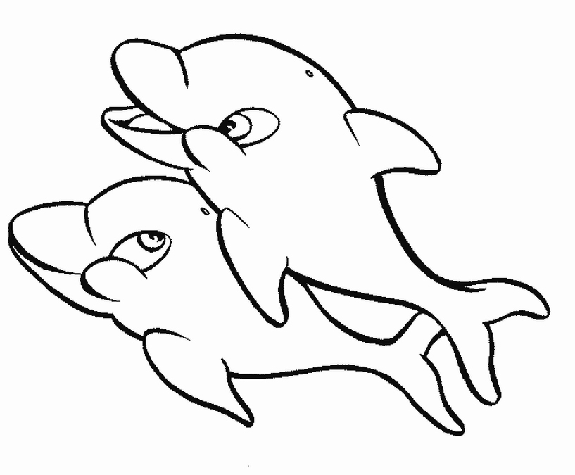 Free Coloring Pages Of Dolphins To the Print