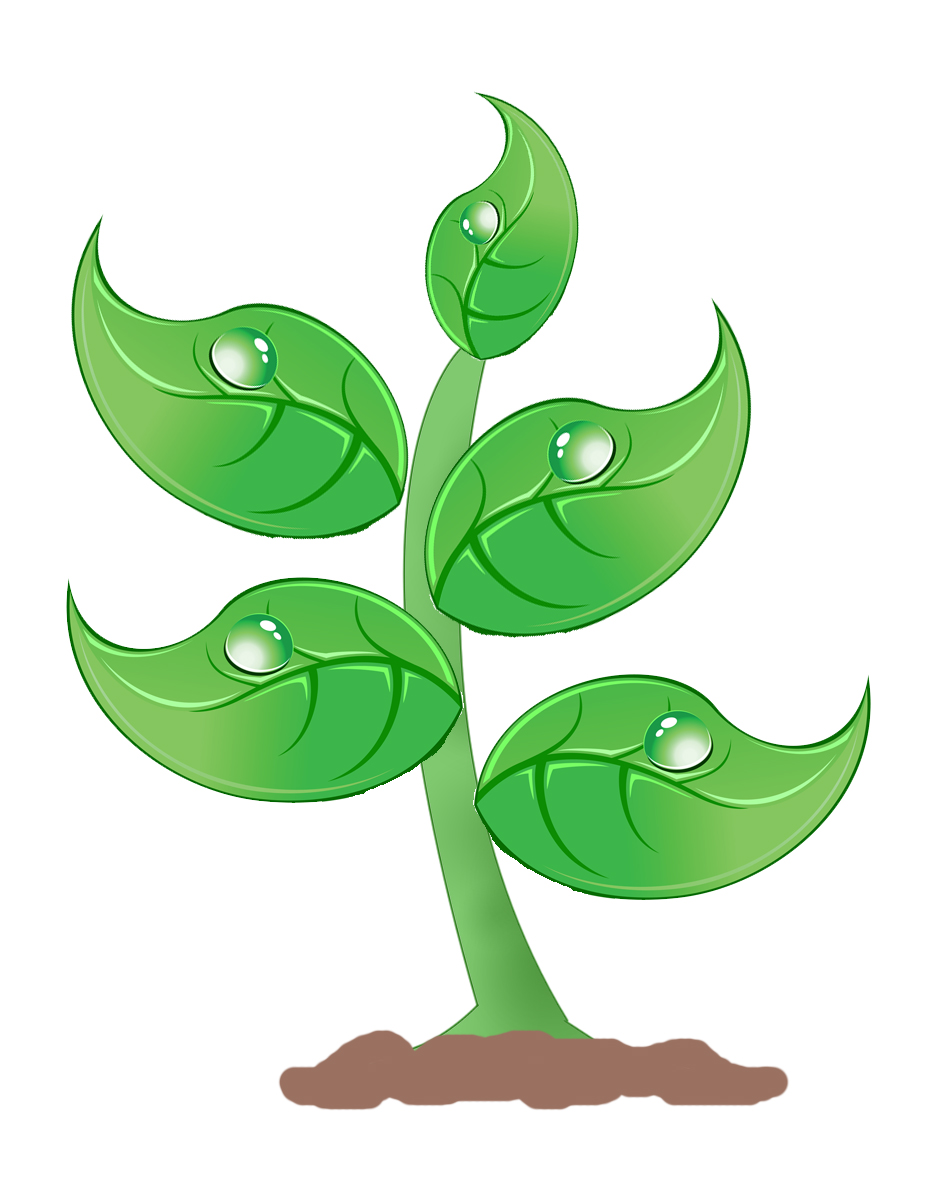 Plants Clipart Images & Pictures - Becuo