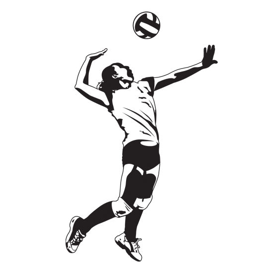 Pictures Of Vollyballs - ClipArt Best