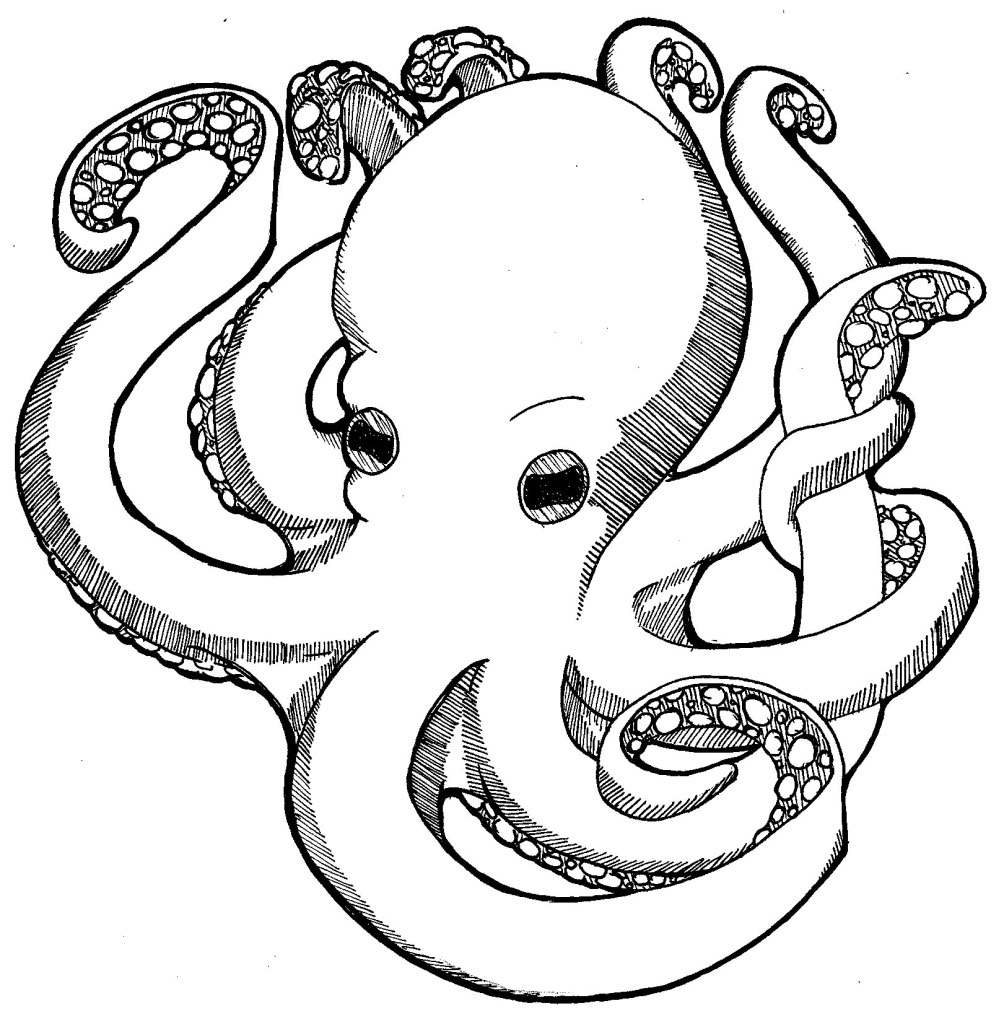 Octopus Line Drawing - ClipArt Best