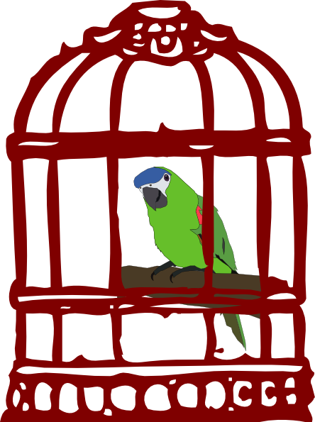 Parrot In A Bird Cage clip art - vector clip art online, royalty ...