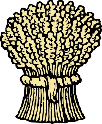 wheat clip art   post 3 | CEvector | free vector image source ...