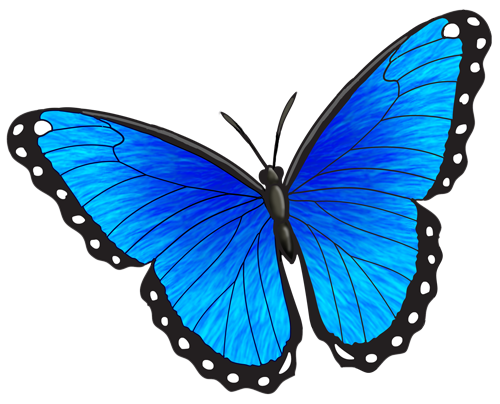 Blue Morpho Butterfly by pyrotaku on DeviantArt