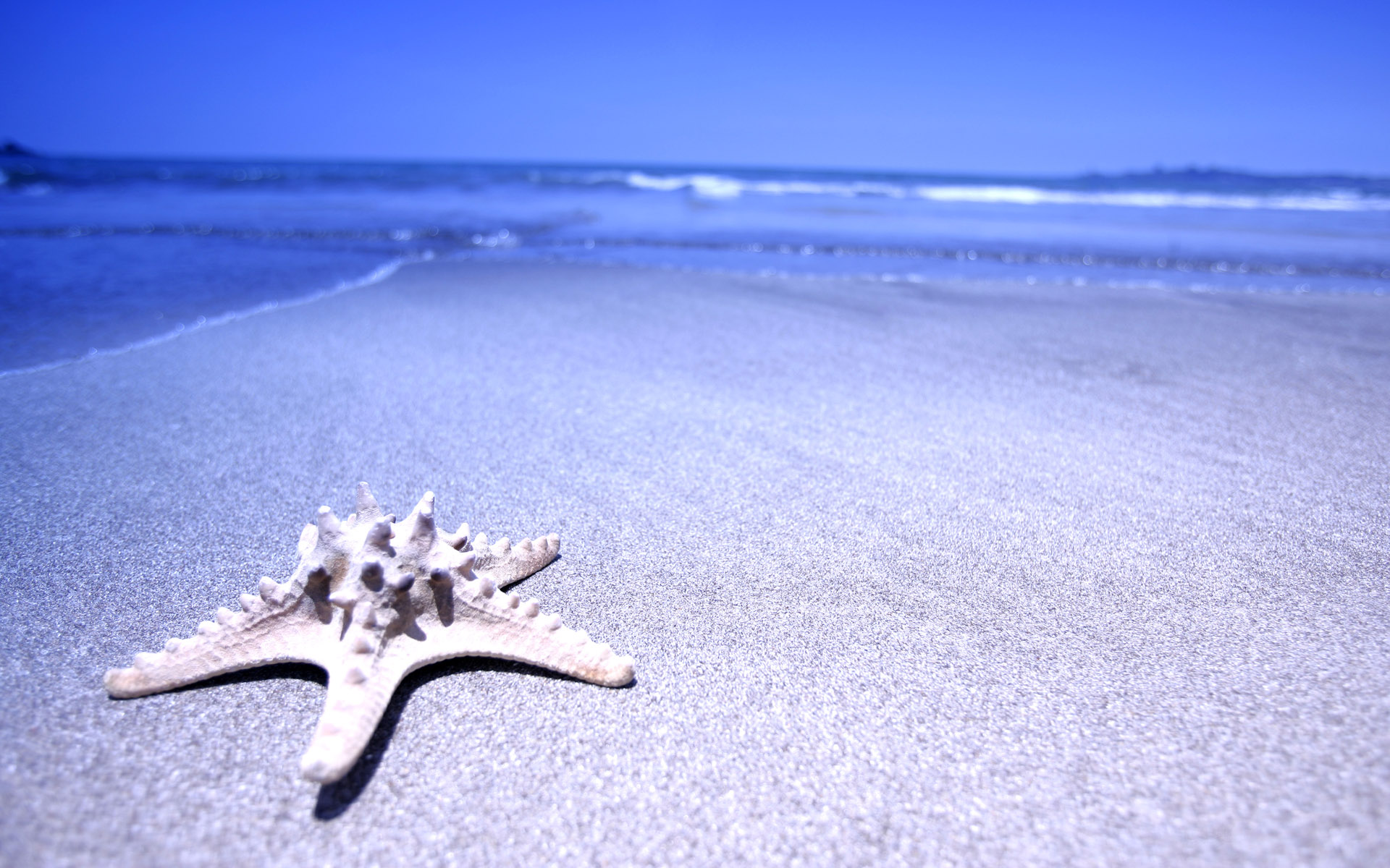 Beach Background Wallpaper 13323 #6928001