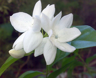 Making the Headlines in “Mom's Gazette” – Mother's Day Series ...